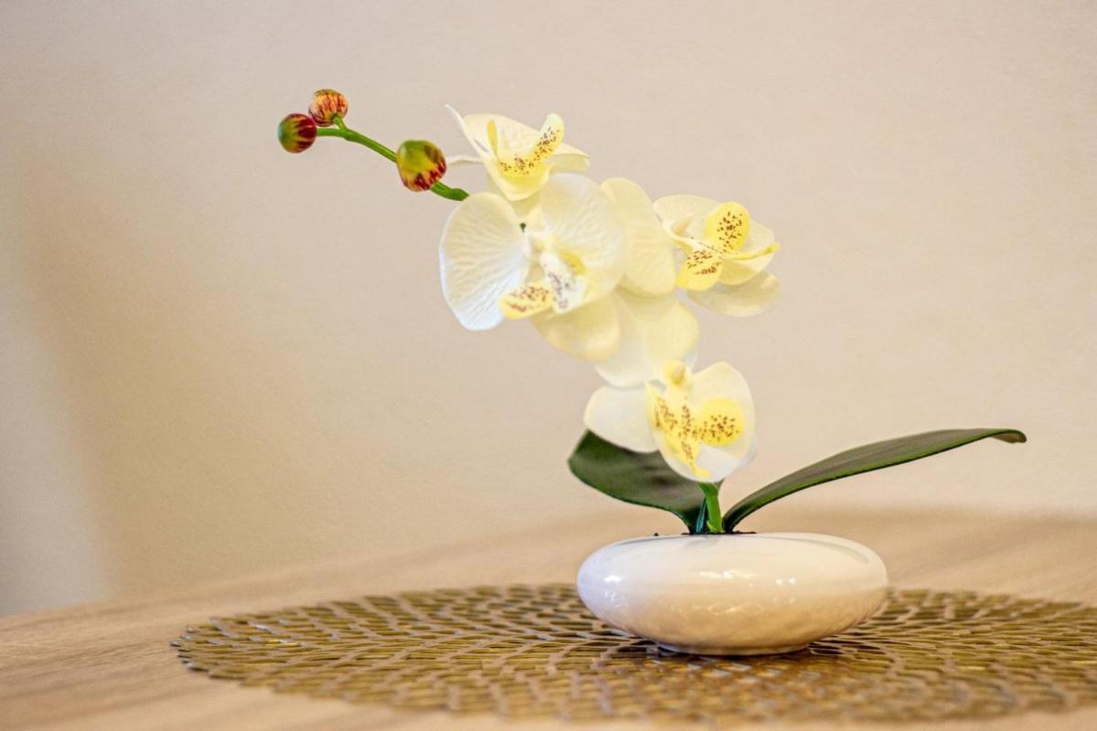 Apartment Fewo Efosa 卡伯尔-格拉芬豪森 外观 照片